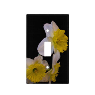 Yellow and White Daffodils on Black 2 Light Switch Cover