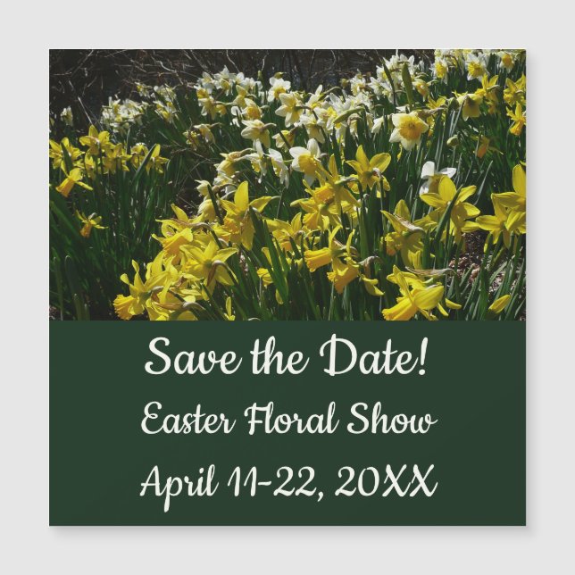 Yellow and White Daffodils Spring Flowers (Front)