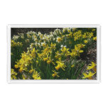 Yellow and White Daffodils Spring Flowers Acrylic Tray