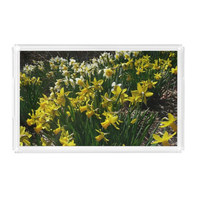Yellow and White Daffodils Spring Flowers Acrylic Tray (Front)