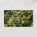 Yellow and White Daffodils Spring Flowers Business Card