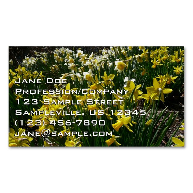 Yellow and White Daffodils Spring Flowers Business Card Magnet (Front)