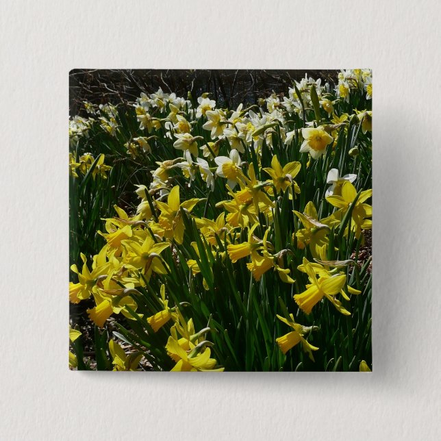 Yellow and White Daffodils Spring Flowers Button (Front)