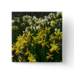 Yellow and White Daffodils Spring Flowers Button