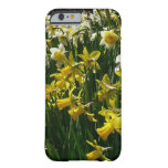 Yellow and White Daffodils Spring Flowers Barely There iPhone 6 Case