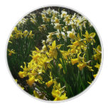 Yellow and White Daffodils Spring Flowers Ceramic Knob