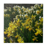 Yellow and White Daffodils Spring Flowers Ceramic Tile