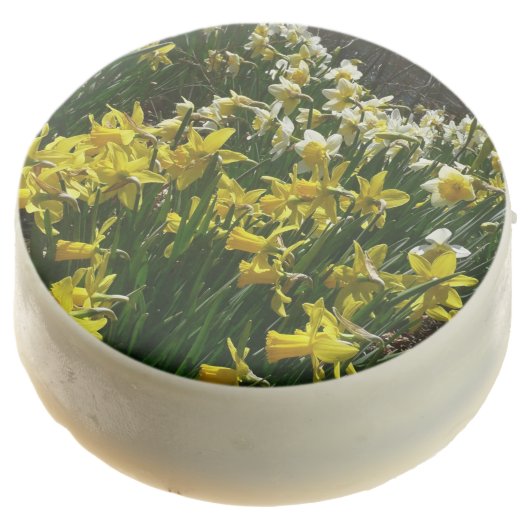 Yellow and White Daffodils Spring Flowers Chocolate Covered Oreo (Angled)