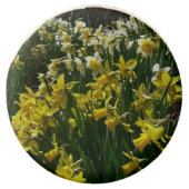 Yellow and White Daffodils Spring Flowers Chocolate Covered Oreo (Front)