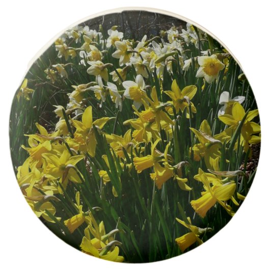 Yellow and White Daffodils Spring Flowers Chocolate Covered Oreo (Front)