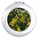 Yellow and White Daffodils Spring Flowers Compact Mirror