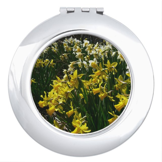 Yellow and White Daffodils Spring Flowers Compact Mirror (Front)