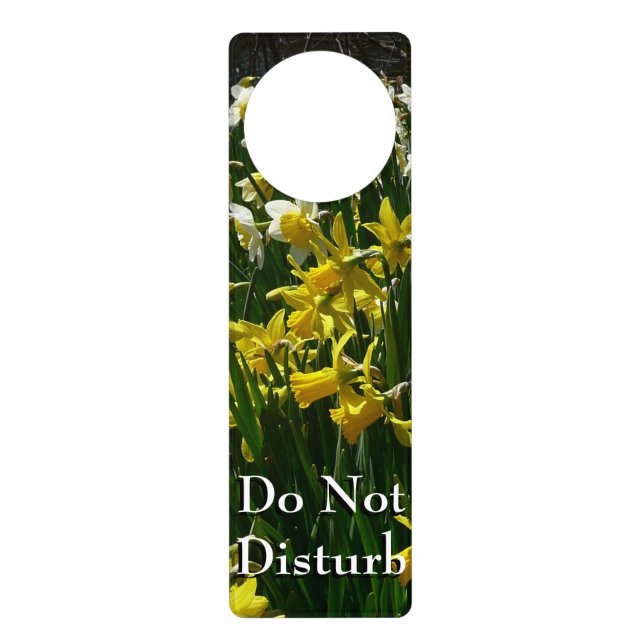 Yellow and White Daffodils Spring Flowers Door Hanger (Front)