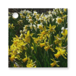 Yellow and White Daffodils Spring Flowers Favor Tags