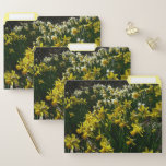 Yellow and White Daffodils Spring Flowers File Folder