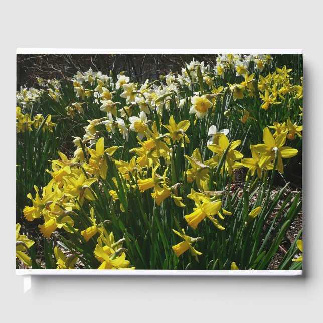 Yellow and White Daffodils Spring Flowers Guest Book (Front)