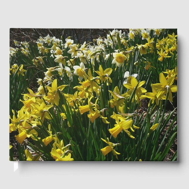 Yellow and White Daffodils Spring Flowers Guest Book (Front)