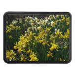 Yellow and White Daffodils Spring Flowers Hitch Cover