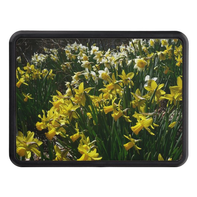Yellow and White Daffodils Spring Flowers Hitch Cover (Front)