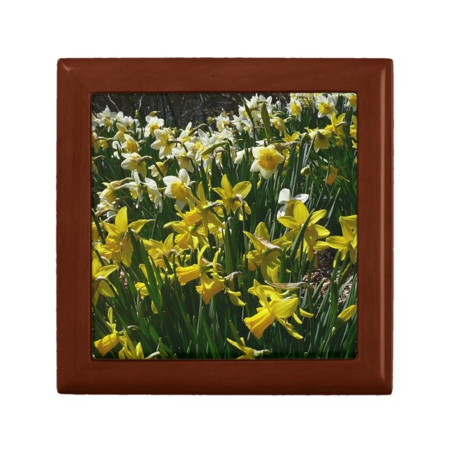 Yellow and White Daffodils Spring Flowers Jewelry Box (Front)