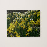 Yellow and White Daffodils Spring Flowers Jigsaw Puzzle