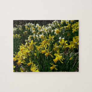 Yellow and White Daffodils Spring Flowers Jigsaw Puzzle