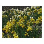 Yellow and White Daffodils Spring Flowers Jigsaw Puzzle