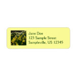 Yellow and White Daffodils Spring Flowers Label