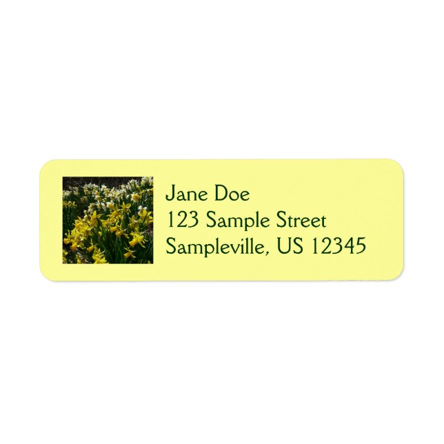 Yellow and White Daffodils Spring Flowers Label (Front)