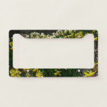 Yellow and White Daffodils Spring Flowers License Plate Frame