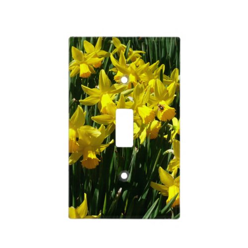 Yellow and White Daffodils Spring Flowers Light Switch Cover