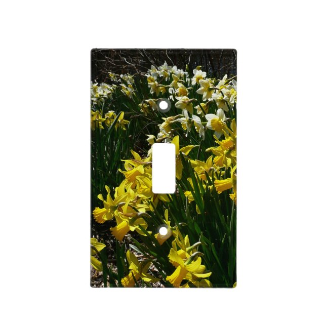 Yellow and White Daffodils Spring Flowers Light Switch Cover (Front)
