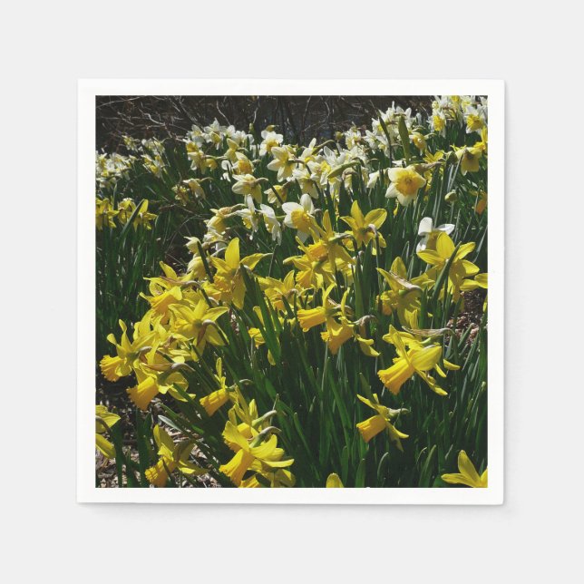 Yellow and White Daffodils Spring Flowers Napkins (Front)