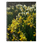 Yellow and White Daffodils Spring Flowers Notebook