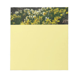 Yellow and White Daffodils Spring Flowers Notepad