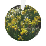 Yellow and White Daffodils Spring Flowers Ornament
