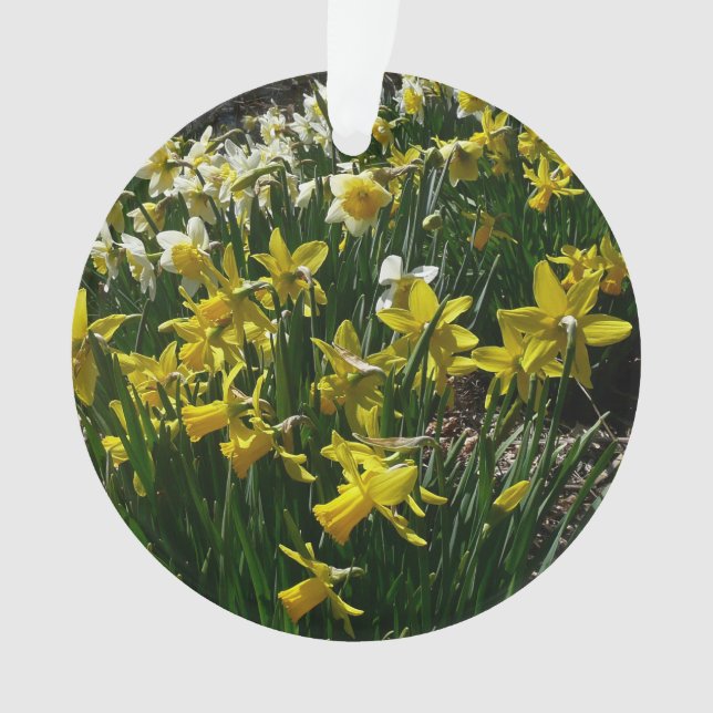 Yellow and White Daffodils Spring Flowers Ornament (Front)