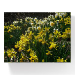 Yellow and White Daffodils Spring Flowers Paperweight