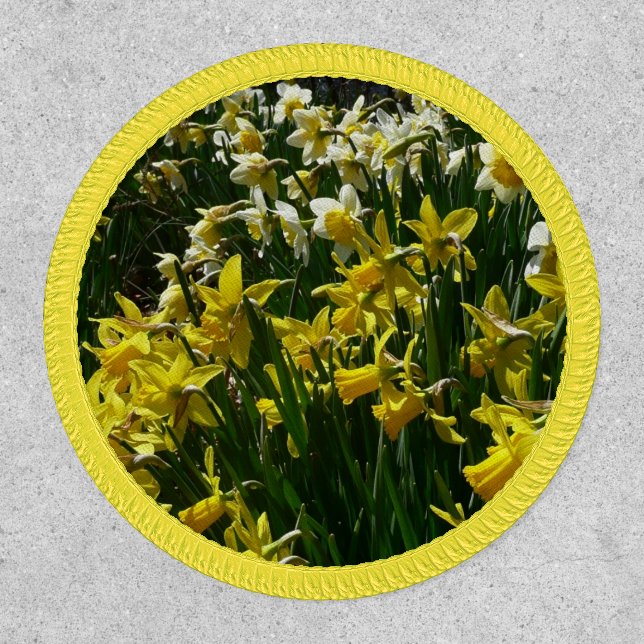 Yellow and White Daffodils Spring Flowers Patch (Front)