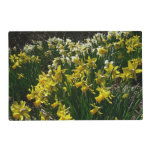 Yellow and White Daffodils Spring Flowers Placemat