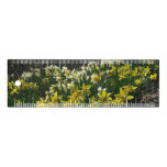 Yellow and White Daffodils Spring Flowers Ruler