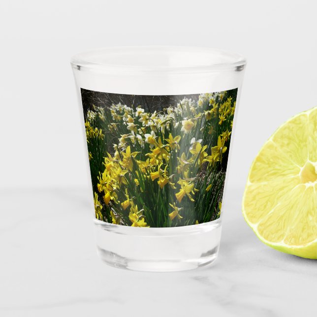 Yellow and White Daffodils Spring Flowers Shot Glass (Front)