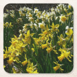 Yellow and White Daffodils Spring Flowers Square Paper Coaster