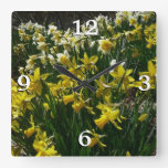 Yellow and White Daffodils Spring Flowers Square Wall Clock