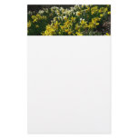 Yellow and White Daffodils Spring Flowers Stationery