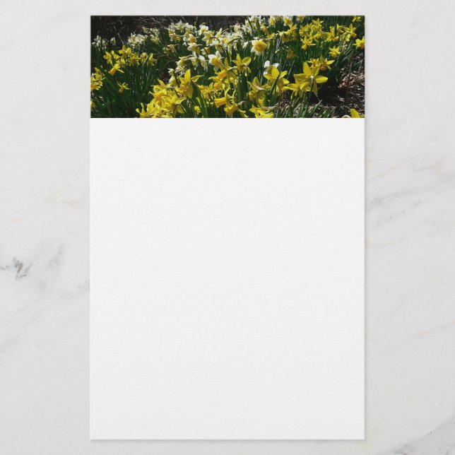 Yellow and White Daffodils Spring Flowers Stationery (Front)