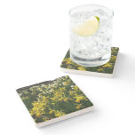 Yellow and White Daffodils Spring Flowers Stone Coaster