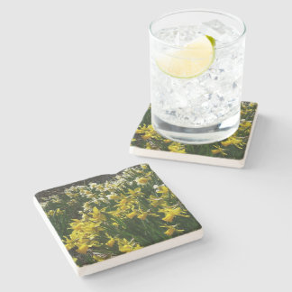 Yellow and White Daffodils Spring Flowers Stone Coaster