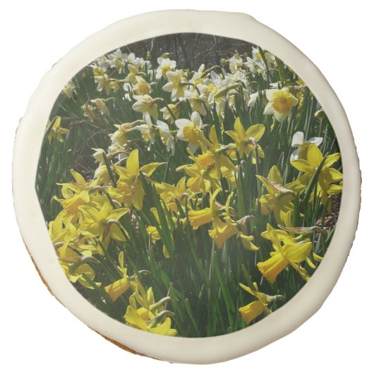 Yellow and White Daffodils Spring Flowers Sugar Cookie (Front)