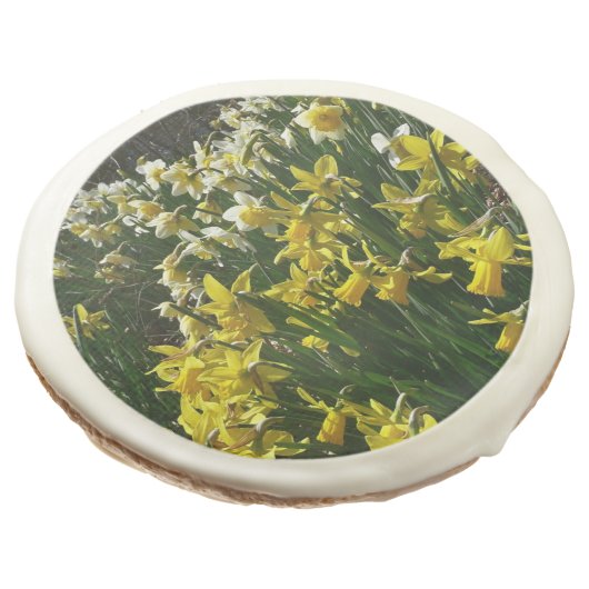 Yellow and White Daffodils Spring Flowers Sugar Cookie (Angled)